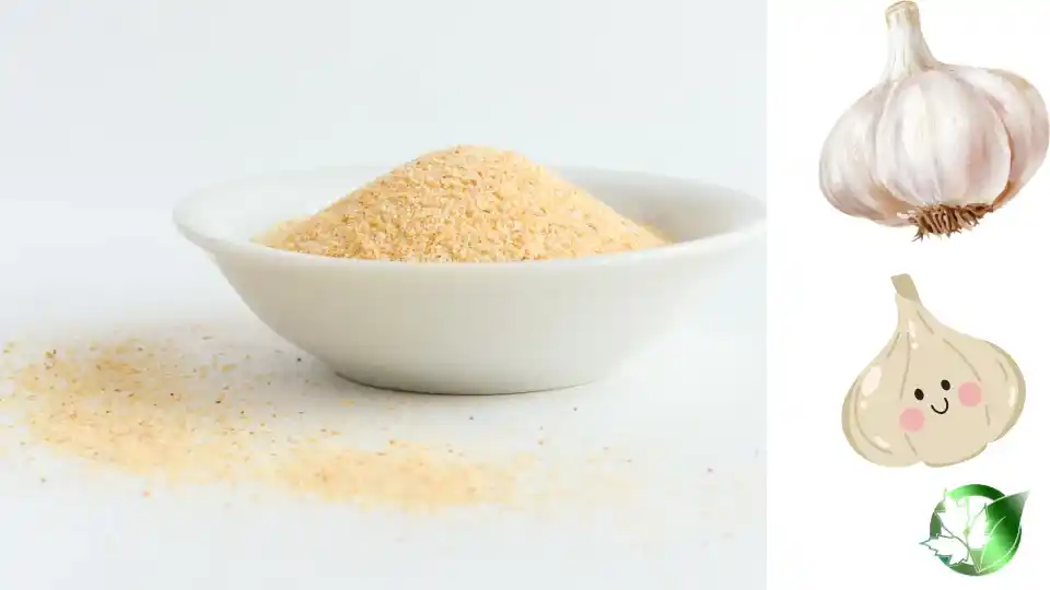 Wholesale packaging for Garlic Powder can be planned for retail, commercial kitchens, own-label, or manufacturing distribution.